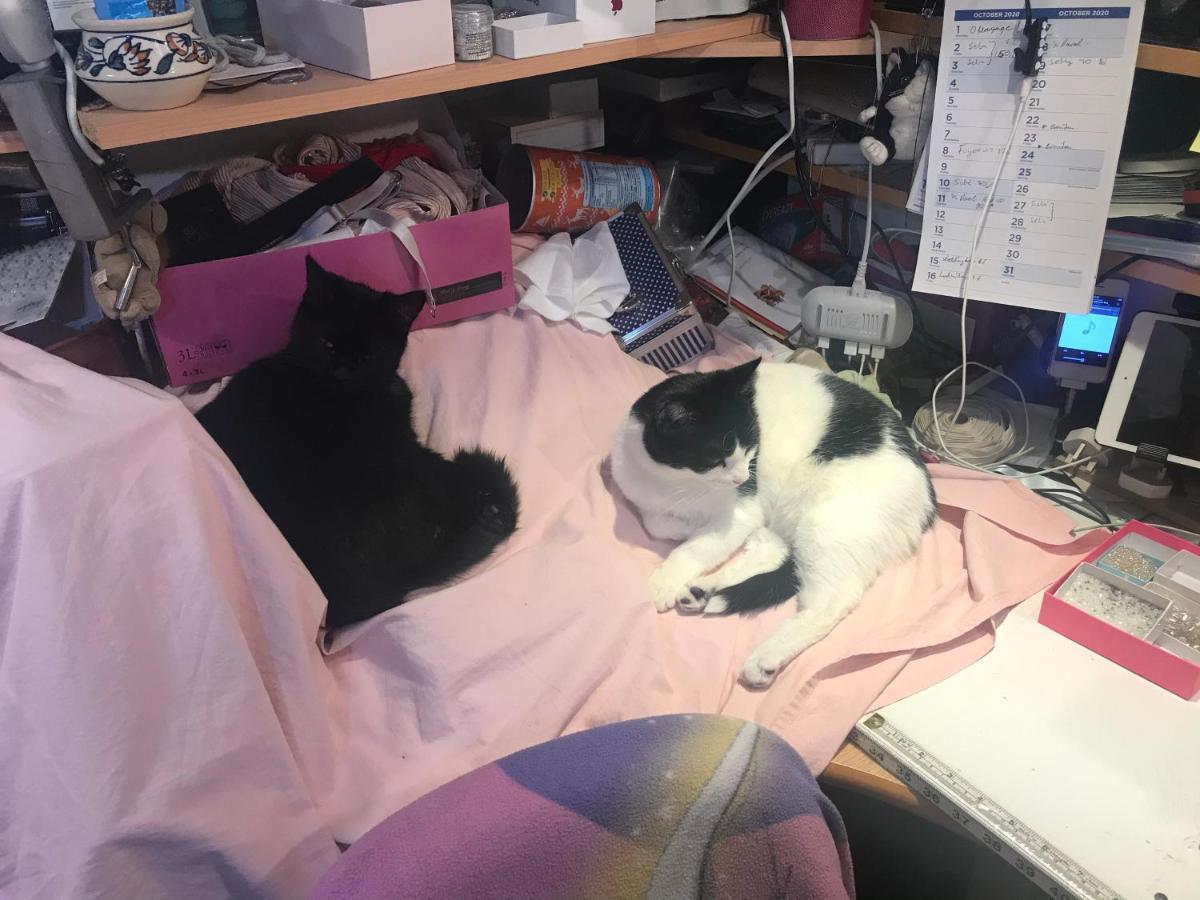 ホテル Na ラムズゲート エクステリア 写真